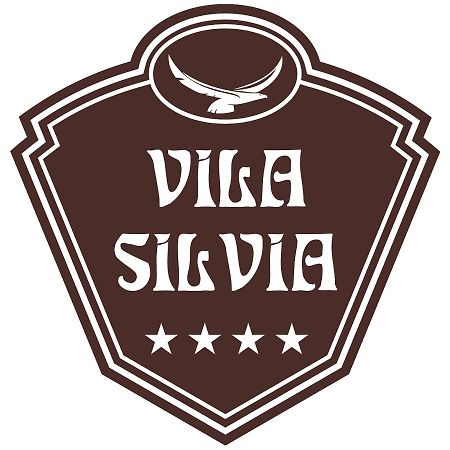 Vila Silvia Sovata Exterior photo